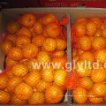 Nueva cosecha china fresca y buena calidad mandarina